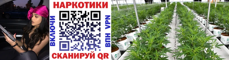 Купить Шатура ГАШ Канабис Амфетамин А ПВП Меф мяу мяу Cocaine