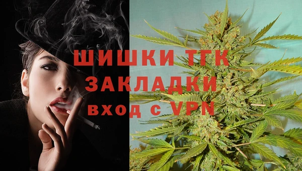индика Алзамай