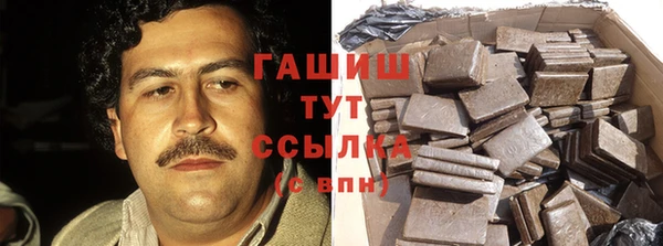 индика Алзамай