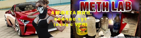 индика Алзамай